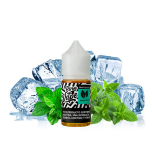Born To Vape - Winter mint (Hortelã e Menta) - NicSalt 30ml